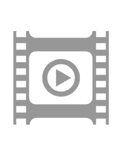 MIRACULOUS - LE FILM